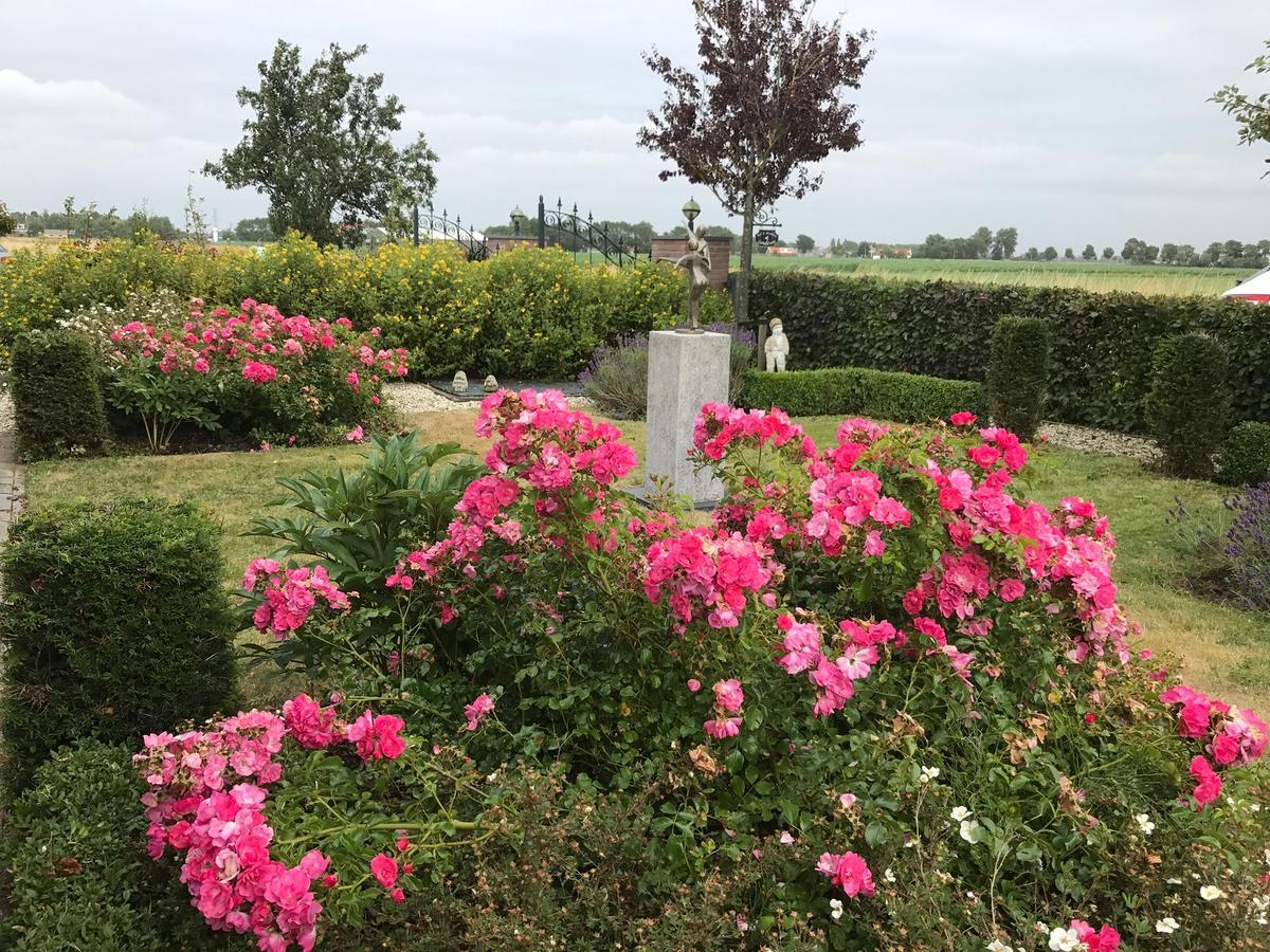 B&B Landleven Hellevoetsluis Εξωτερικό φωτογραφία